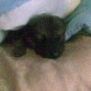 primeras fotos durmiendo